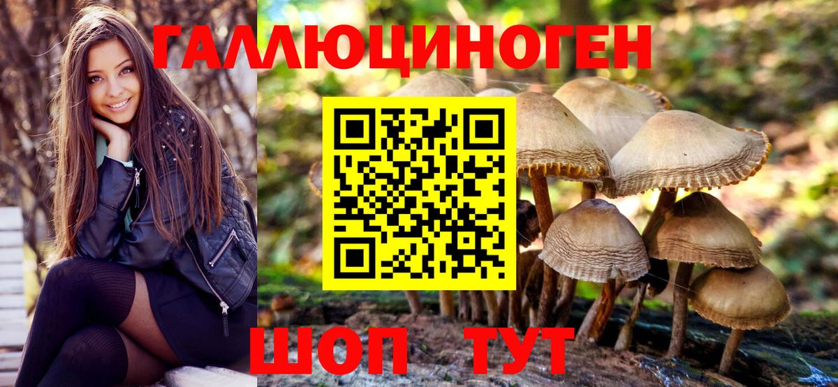 Псилоцибиновые грибы GOLDEN TEACHER  Вход с VPN  Кольчугино 